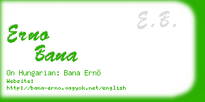 erno bana business card
